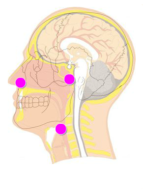 head-img